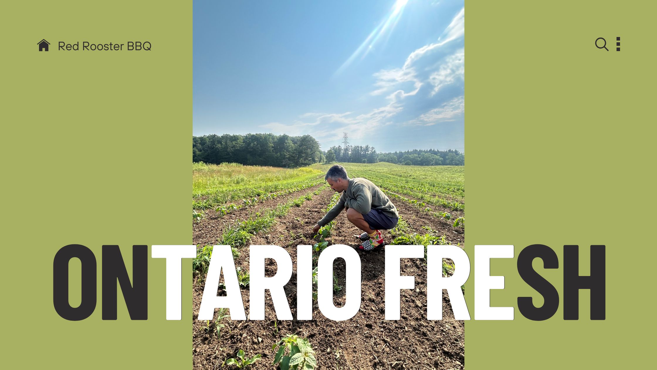 Man harvesting vegetables in an Ontario farm field under sunny blue skies.